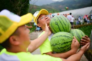 吃瓜群众嗨起来,揭秘网络狂欢背后的文化现象