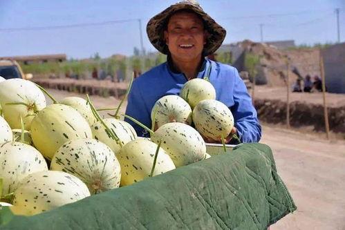 老实当个吃瓜群众,见证娱乐圈风云变幻