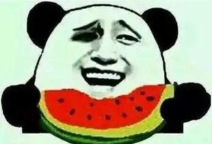 吃瓜群众挑瓜吗,吃瓜群众如何挑选心仪的瓜果