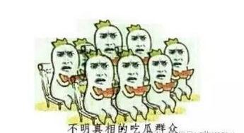 吃瓜群众路线图纸,揭秘娱乐圈幕后真相