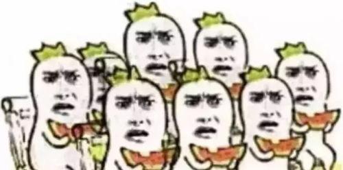 吃瓜群众的花语是什么,揭秘“吃瓜”背后的花语寓意