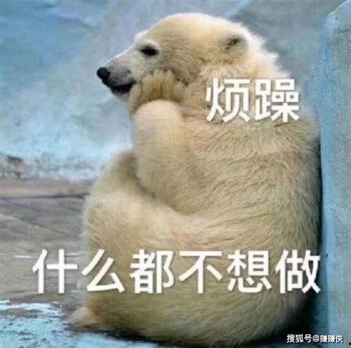 现实吃瓜群众图片,围观者的众生相