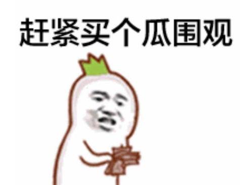 直爽的吃瓜群众123,揭秘娱乐圈幕后真相