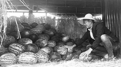 吃瓜群众岱岱工业,吃瓜群众眼中的工业奇迹