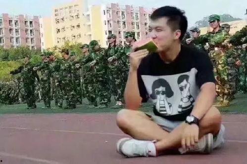 柯基吃瓜群众助威,吃瓜群众狂欢盛宴