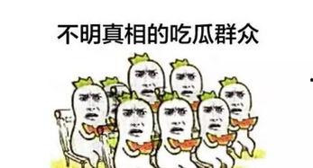 捂脸吃瓜群众泪奔图片搞笑,搞笑图片背后的感人故事