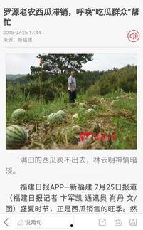 吃瓜群众罗源,吃瓜群众的视角，揭秘娱乐圈风云变幻