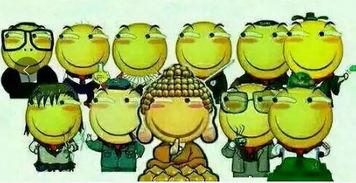 吃瓜群众罗源,吃瓜群众的视角,揭秘娱乐圈风云变幻