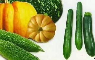 吃瓜群众红薯干,吃瓜群众的甜蜜诱惑