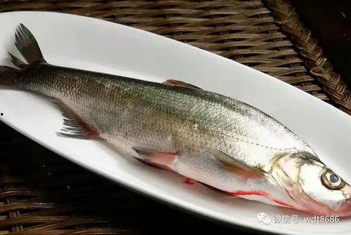 吃瓜群众鱼满塘,揭秘吃瓜群众的狂欢盛宴